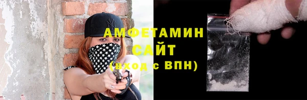 СК Алексин