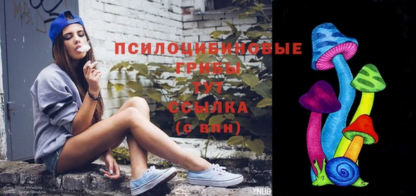 бутират Алзамай