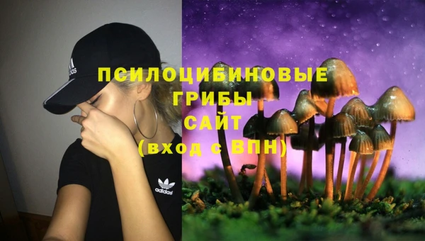 СК Алексин