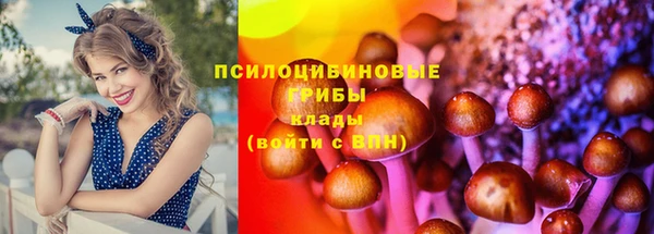 бутират Алзамай
