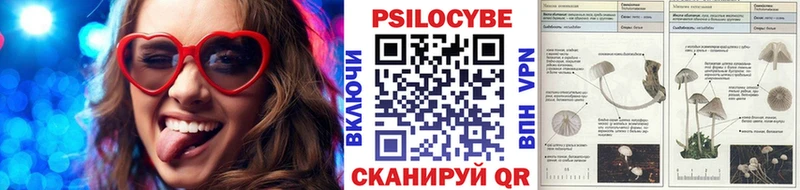 Галлюциногенные грибы Magic Shrooms  как найти наркотики  Петровск-Забайкальский 